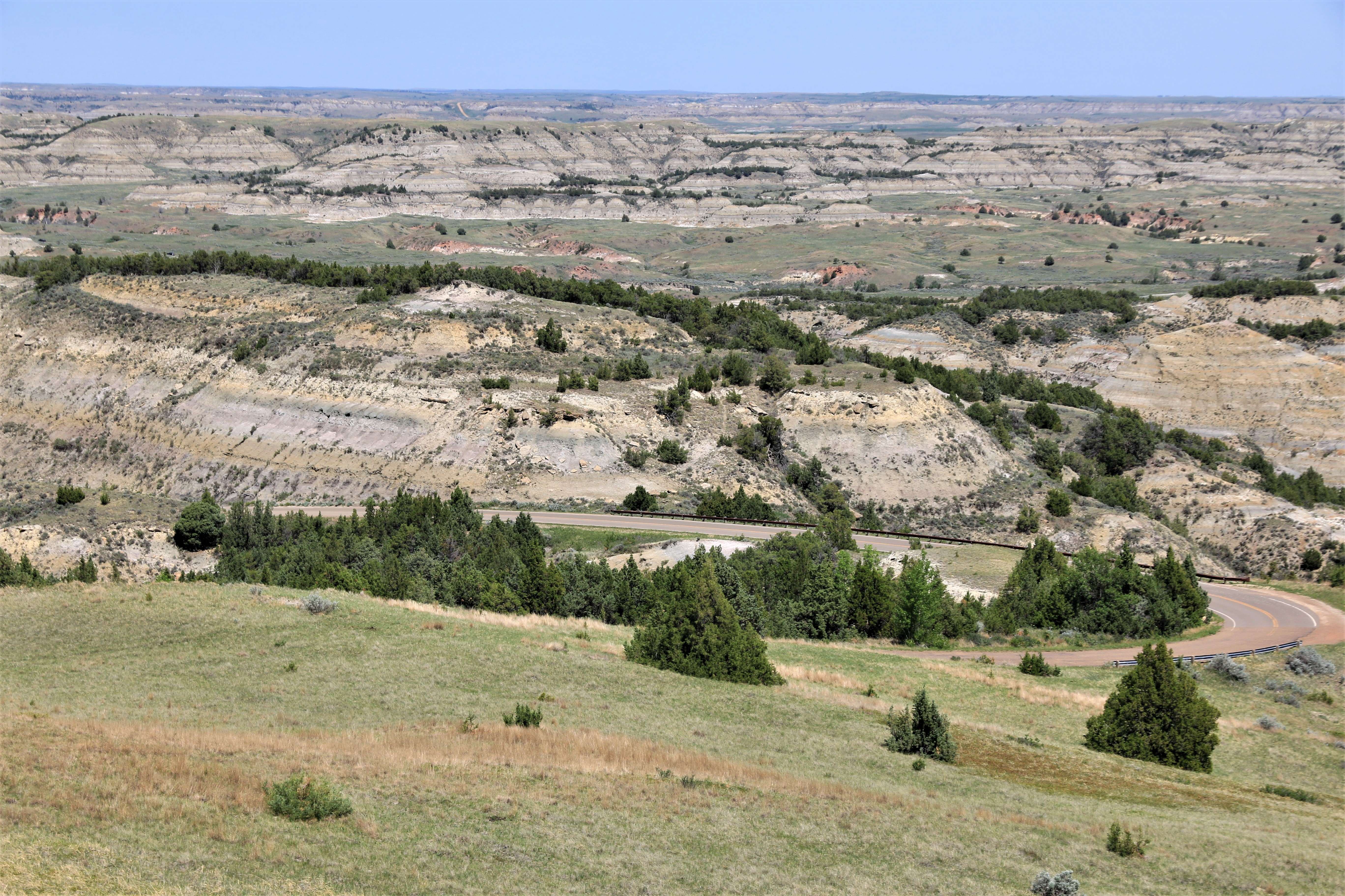 Theodore Roosevelt NP